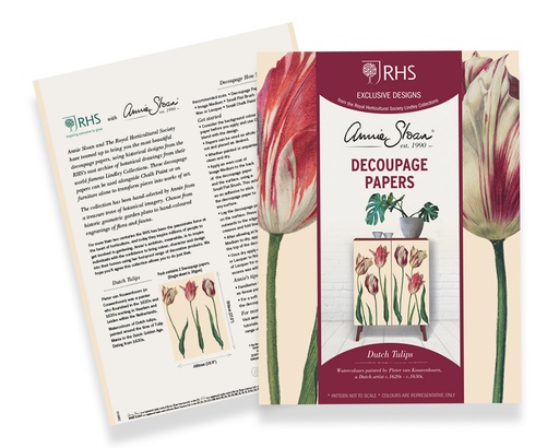 [DPDT001.0001.01] Decoupage Dutch Tulips